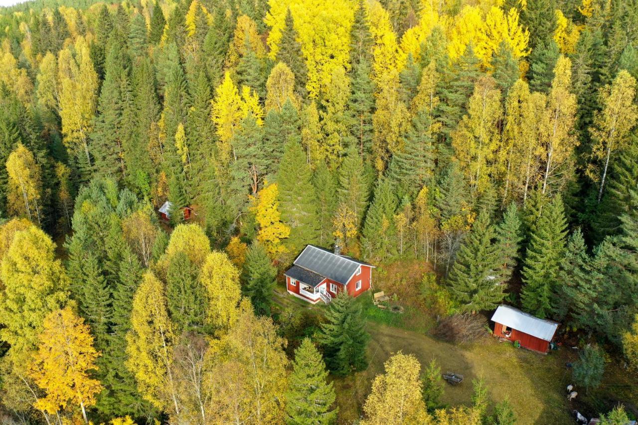 Little Forest House "Our Little Farm" Eksharad Exterior photo
